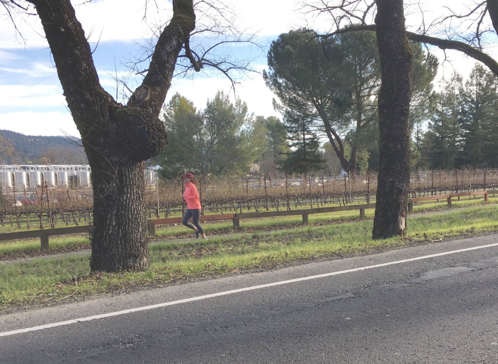 Lone runner on Highway 29